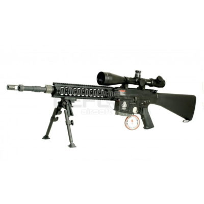 G&G GT Advanced GR25 AEG SPR Sniper Rifle