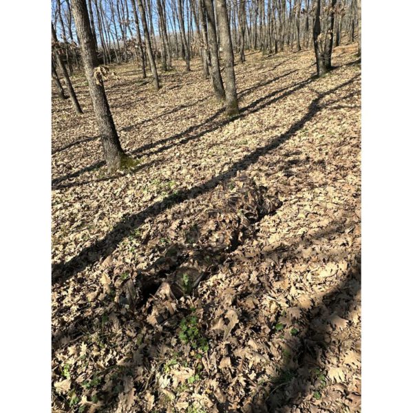 DJI_20240207_141333_536-SCALED DJI_20240207_141333_536-SCALED