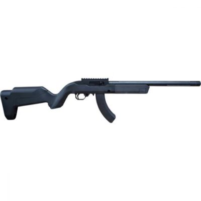 Ace 1 Arms x22 Take Down GBB Rifle