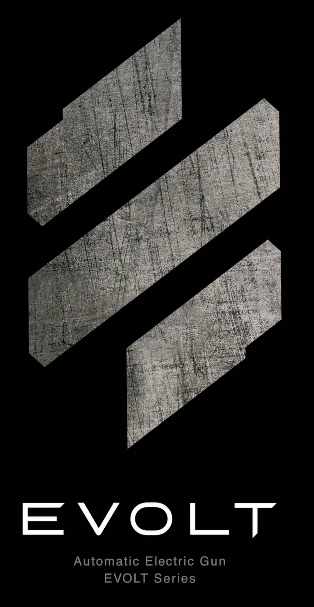 EVOLT MS Li-Po battery